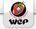 WeP Peripherals Ltd