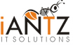 I Antz Solutions IT Solutions